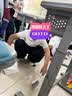 罗蒙男童短袖polo衫校园服饰秋夏新款T恤女童班服 白色短袖POLO衫 140 实拍图