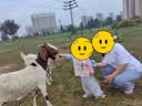 巴拉巴拉童装儿童裤子男童女童2026秋季新款婴儿运动裤长裤宝宝透气舒适萌 实拍图