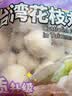 四海鱼蛋台湾花枝丸一斤装500g火锅食材丸子空气炸锅生鲜鱼丸烧烤露营 实拍图