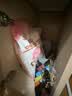 皇家猫粮 幼猫猫粮 幼猫奶糕 K36 通用粮 4-12月 2KG 实拍图
