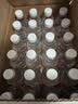 娃哈哈纯净水596ml*24瓶 纸箱装整箱小瓶装水  娃哈哈饮用水 实拍图