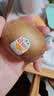 佳沛（zespri）新西兰金奇异果猕猴桃 5粒装 单果约88-103g 水果源头直发 实拍图