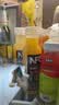 农夫山泉【零添纯净】nfc果汁饮料 100%鲜榨果汁非浓缩还原  节日礼盒送礼 (四拼口味）橙汁3+苹果2+芒果3+番石榴2（300ml*10瓶） 实拍图