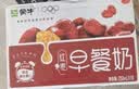 伊利早餐奶 新疆红枣250ml*16盒*1箱 礼盒装  实拍图
