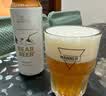 豪铂熊（BearBeer）德国精酿小麦拉格黑啤浓烈啤酒500ml*12听 聚会畅饮 实拍图