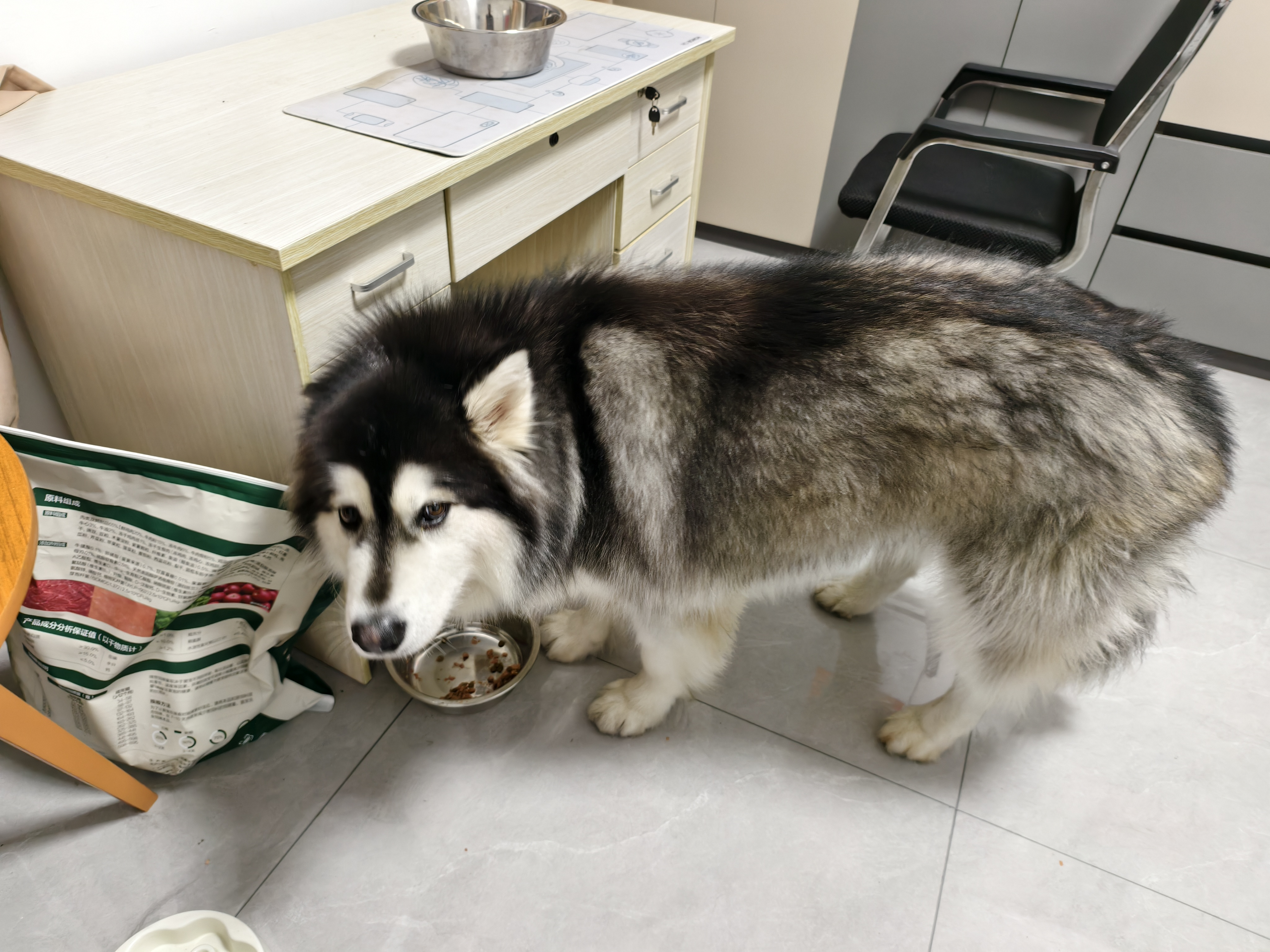 顽皮（Wanpy）狗狗罐头零食罐头营养湿粮拌饭增肥非主食罐鸭肉雪梨375g*12 实拍图