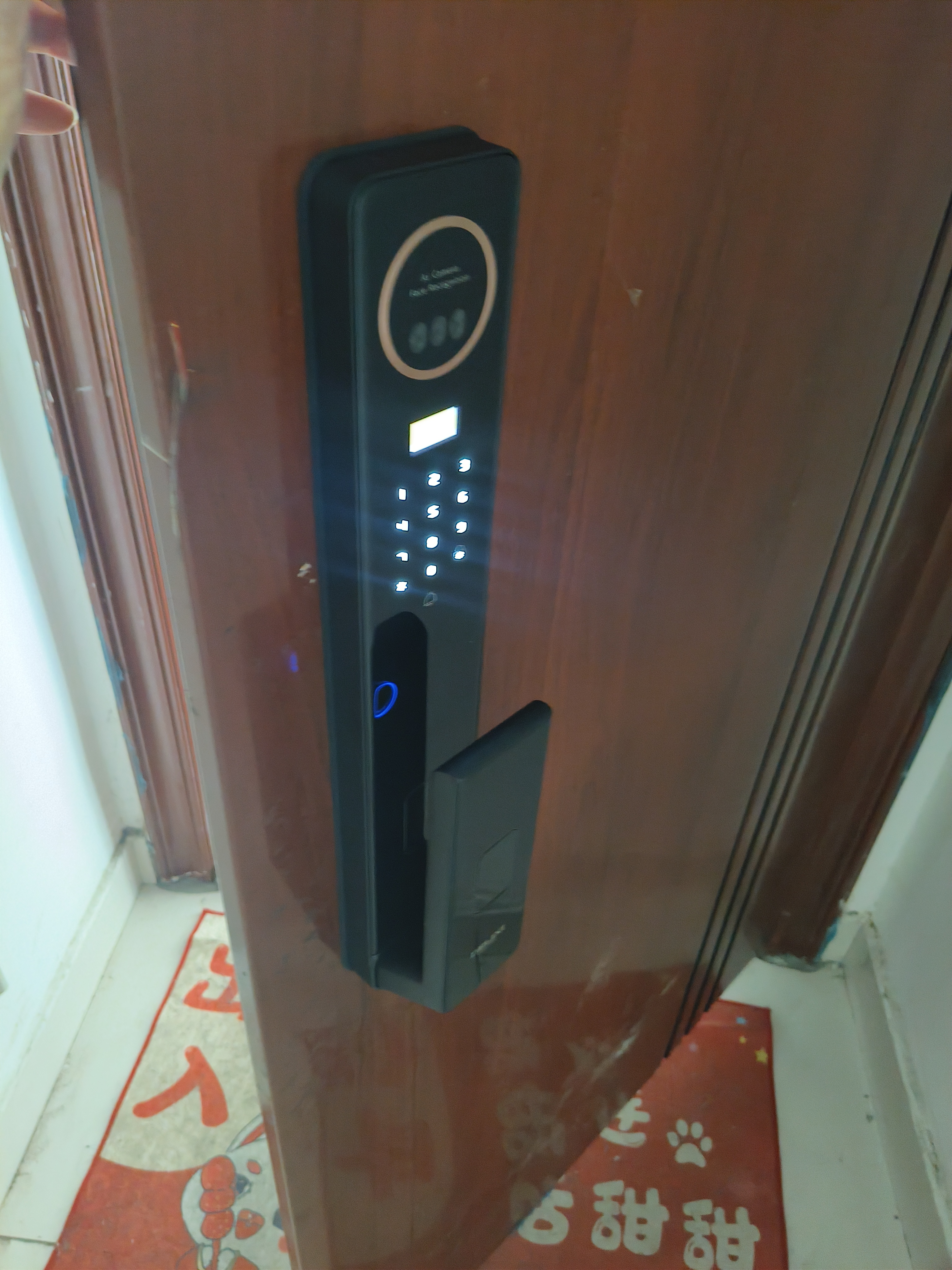 德力西3D人脸智能门锁指纹锁密码锁可视猫眼智能锁家用入户防盗门电子锁 室外摄像头+3D人脸+掌静脉+4.5吋可视大屏+逗留抓拍 全国免费拆旧安装+免费升级四年质保 实拍图