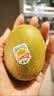佳沛（zespri）新西兰阳光金奇异果6粒装88-103g猕猴桃水果中秋节礼品送水果礼盒 实拍图
