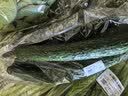 【火锅季】带根香菜100g 实拍图