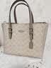 蔻驰（COACH）【品牌直供】女士MOLLIE 25中号斜挎托特包拿铁色CV965礼物次日达 实拍图