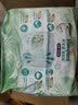 帮宝适（Pampers）清新帮尿不湿婴儿纸尿裤 XL84片【拉拉裤】 实拍图