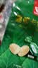 嘉顿（Garden）薄荷卡仑治糖300g 薄荷糖休闲零食结婚订婚喜糖伴手礼 国庆节礼物 实拍图