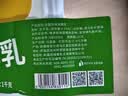 西域春 新疆饭盒风味酸奶 1kg*2盒生牛乳发酵 0防腐剂 0香精色素 实拍图