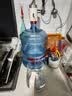 小熊（Bear）钛纯净系列纯钛双泵抽水器电动纯净饮水机自动上水器抗菌 实拍图