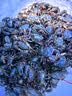 川珍五香卤料包15g*10小包【配料干净】炖卤酱牛羊肉香料家用调味料包 实拍图