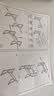 汤能优品电脑桌台式家用电竞游戏桌简约卧室书桌办公学习桌学生写字小桌子 单桌-暖白80*50【限量首购补贴】 实拍图
