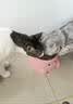 亿迪 猫粮幼猫1-4月12月全价奶糕蓝猫英短美短小猫专用离乳期3斤 实拍图