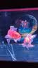 备能（BEINENG）维生素C鱼用鱼药热带冷水鱼锦鲤水族专用VC片解毒抗应激 实拍图