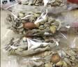 楼小咩果蔬海苔卷饼干儿童早八营养非油炸芝麻海苔夹心脆零食品90g*2箱 实拍图