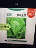 北蔬 生菜种子苗四季盆栽生吃奶油罗马生菜菜种籽 罗马生菜籽约5000粒 实拍图