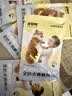 多特思羊奶炖鸡猫主食餐包6包成幼猫湿粮罐头全价猫咪汤包饭 实拍图