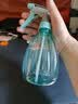喷壶浇花浇水喷雾器气压式喷水壶家用园艺养花500ml 南瓜喷壶透蓝【1个装】 实拍图