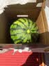 【礼盒】晓吸无籽麒麟瓜1粒装 约4kg 实拍图