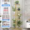 蜗家花架客厅落地多层置物架室内阳台绿萝多肉植物摆放花盆架金色 实拍图