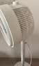 美的（Midea）【全新升级】落地空气循环扇大风量电风扇轻音家用台式摇头卧室节能小风扇柔风净化换气扇GAJ24HBZ 实拍图