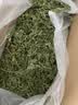 BCM烘干紫花苜蓿草 幼兔兔粮 干草兔子牧草龙猫荷兰猪磨牙饲料750g 实拍图