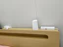 图柔【顺丰闪发】床实木床现代简约双人床主卧大床单人床出租床 单床【促销款】 1.5*2米 框架结构 实拍图