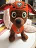 汪汪队立大功（PAW PATROL）毛绒玩具狗狗陪睡玩偶经典款路马站姿公仔男女孩儿童生日礼物 实拍图