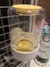 皇佳宠宠物悬挂式喂食器狗狗猫咪饮水机兔子食盆挂笼宠物喝水猫碗狗食盆 实拍图