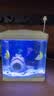 SICCE鱼缸过滤制氧一体机水循环客厅小型水族箱桌面懒人玻璃鱼缸 T-240F【240*165*280】+换水套餐（配过滤+LED灯） 实拍图