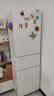 美的220L 231三门冰箱小型家用冰箱少霜节能省电低噪六档调温节省空间租房宿舍办公小户型新国标真一级 两天不到一度电|极地白 实拍图
