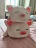 名创优品（MINISO）小猪B-BO翅膀猪玩偶毛绒公仔娃娃猪猪抱枕睡靠枕生日礼物女次日达 实拍图