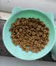 皇家猫粮 成猫猫粮 营养均衡 F32 通用粮 1-7岁 4.5KG 实拍图