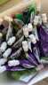 蒙玛特儿童早教印章海绵笔刷滚筒涂颜料工具手指画颜料DIY绘画画刷18件套  实拍图