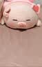 名创优品（MINISO）小猪B-BO翅膀猪玩偶毛绒公仔娃娃猪猪抱枕睡靠枕生日礼物女次日达 实拍图