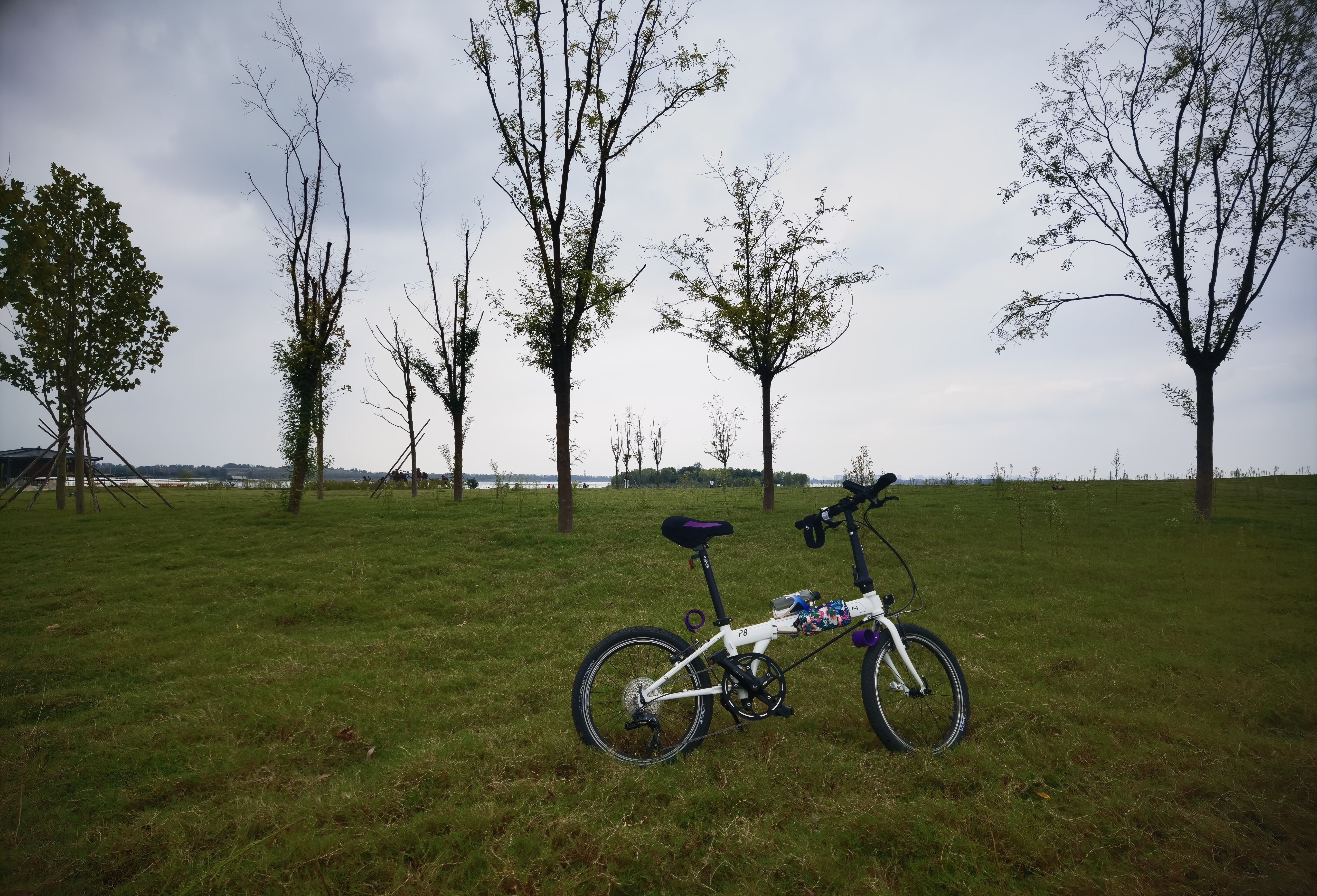 大行（DAHON）P8折叠自行车经典成人20英寸8速折叠车男女式运动单车KBC083 白色【经典版】 实拍图