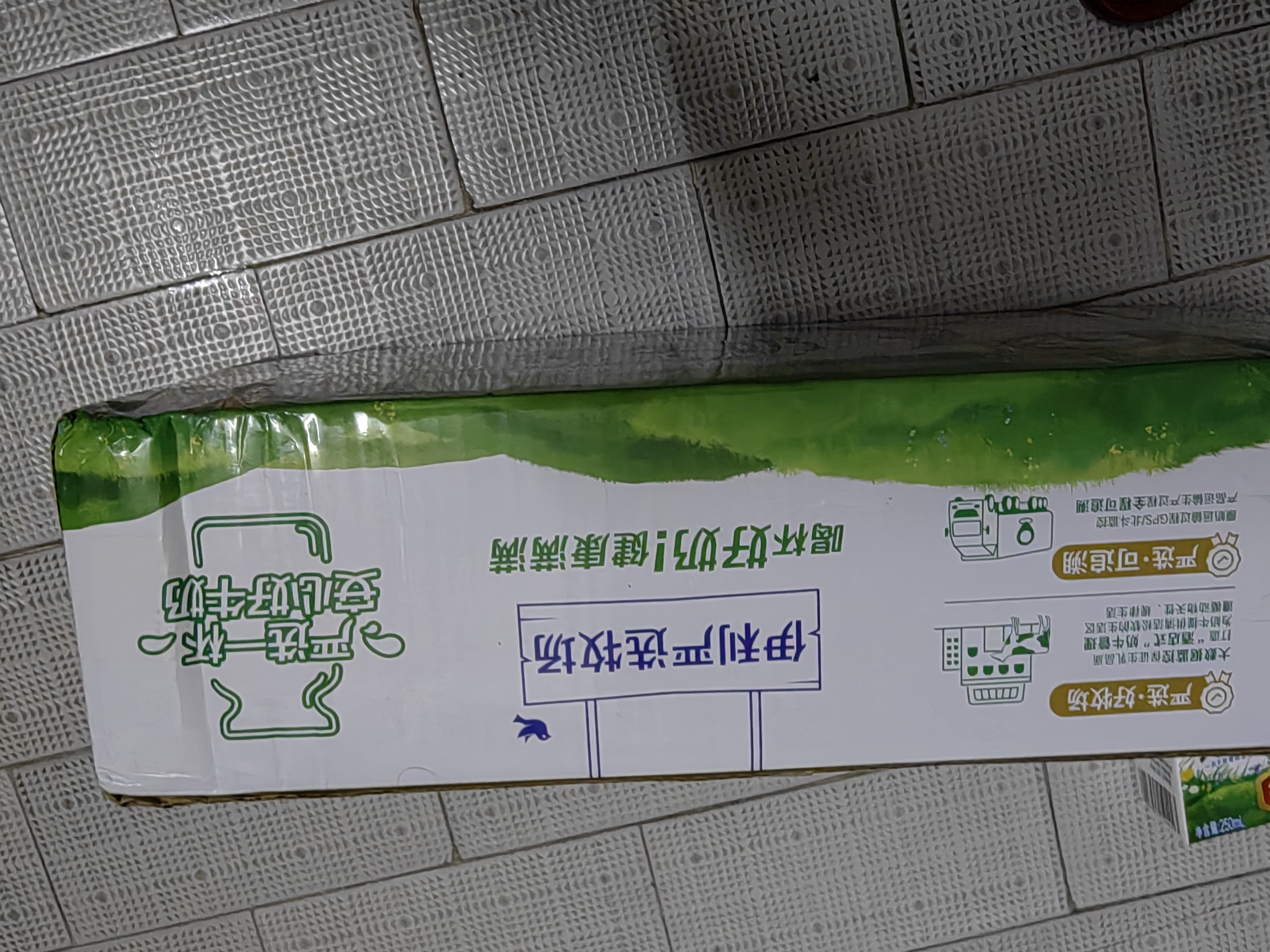 伊利6月纯牛奶250ml*24盒整箱牛奶营养早餐全脂牛奶成人纯奶 6月纯牛奶250ml*24盒 实拍图