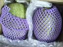 京鲜生 哈密瓜西州蜜/西周蜜 2粒 6-8斤 单果3斤起 生鲜水果礼盒 实拍图
