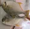 1号会员店（One's Member）甄选海南二去金鲳鱼 700g/2条装 去鳃去内脏 生鲜 鱼类 海鲜水产  实拍图