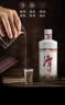 潭酒 1935 酱香型白酒 39度 500ml*1瓶 纯粮 送礼家乡酒 实拍图