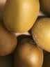 佳沛（zespri）新西兰阳光金奇异果6粒装88-103g猕猴桃水果中秋节礼品送水果礼盒 实拍图