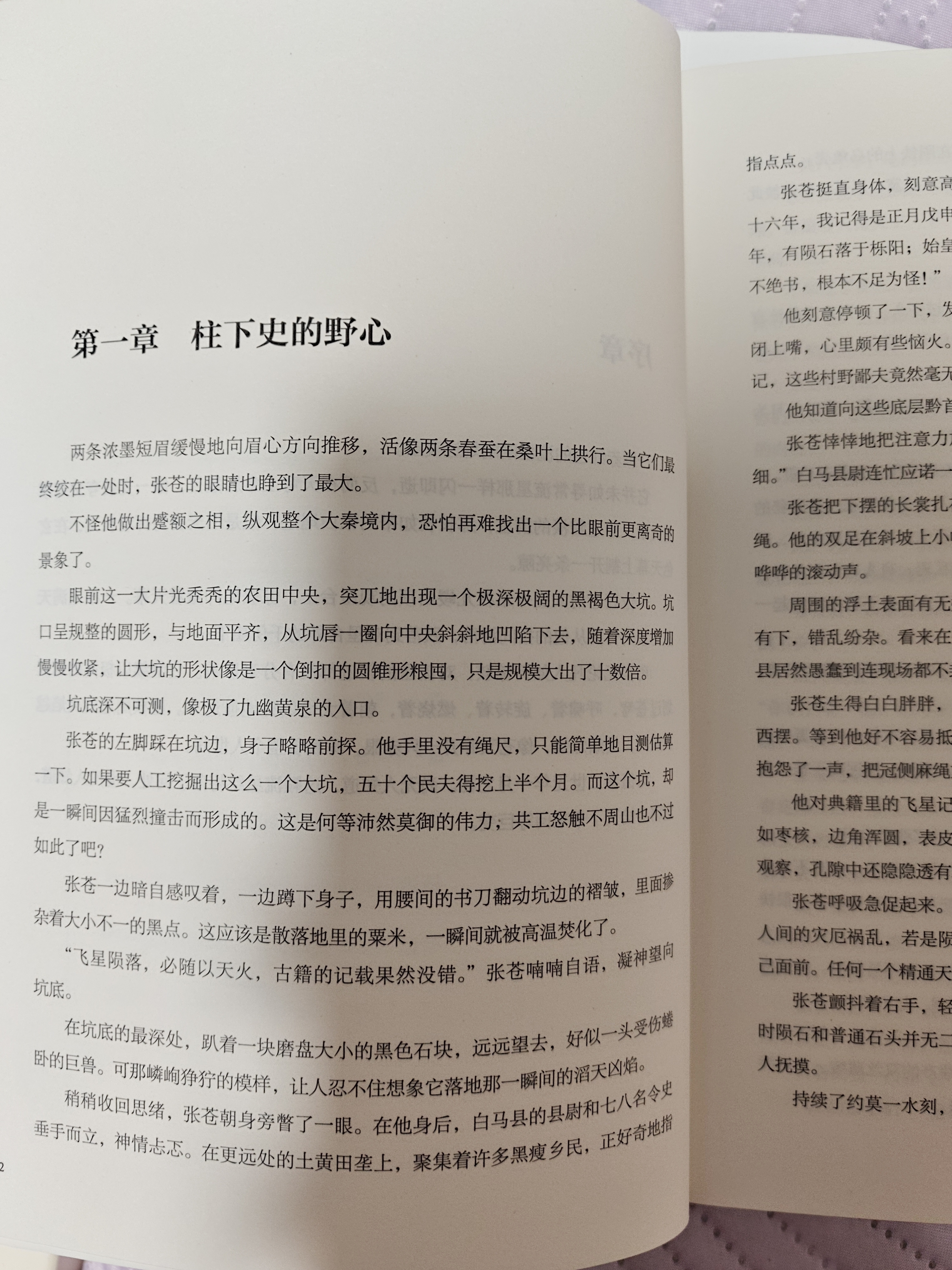 【自营现货包邮】秦二世必须死 马伯庸2026年全新长篇历史传奇小说 天降陨石上书六字谶言，掀起亡秦序幕 张苍、张良、项伯、孟姜女、徐福 来自七国的亡命之徒，目标只有一个：秦二世必须死 实拍图