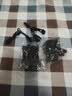 通用拉链修复器可拆卸拉链头外套衣服箱包鞋靴免工具替换拉链锁头 通用拉链 9个【大中小各3个】 实拍图