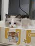 皇家猫粮 幼猫奶糕 幼猫猫粮 BK34 通用粮 1-4月 10KG 实拍图