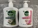 滴露（Dettol）洗手液松木500g瓶 健康抑菌消毒非补充装 儿童家庭用清爽去油 实拍图