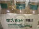 农夫山泉东方树叶桂花乌龙茶335ml*24瓶无糖茶饮料0糖0脂0卡【金秋限定】 实拍图